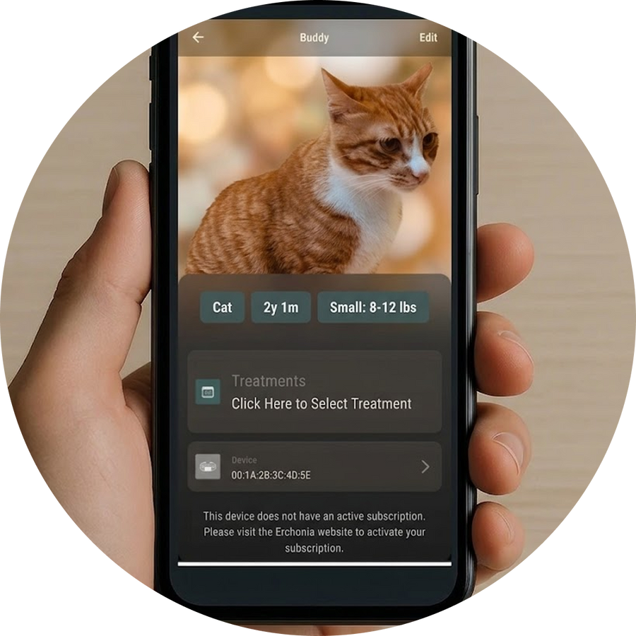 Connect the app