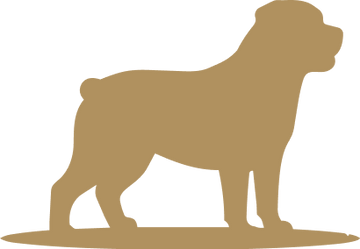 XL